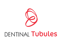 Dentinal Tubules